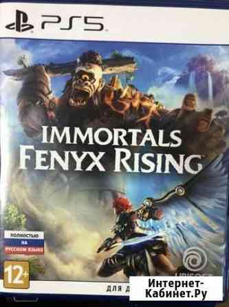 Immortal fenix rising PS 5 Калининград