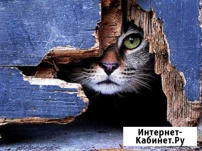 Видеонаблюдение - все под контролем Абадзехская - изображение 1