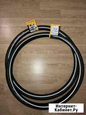 Continental contact spike 240 шипов Мурино