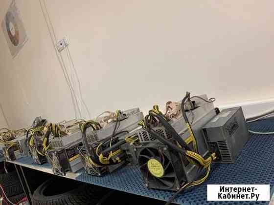 Asic Bitmain Antminer L3+ Воронеж