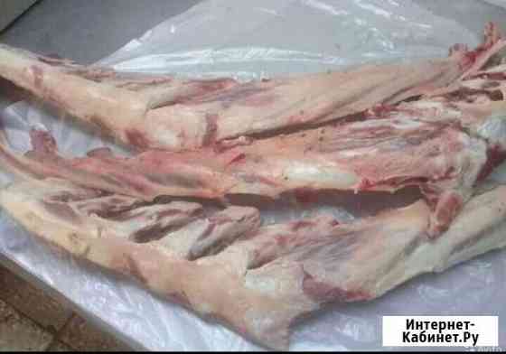 Кости говяжьи для собак Саратов