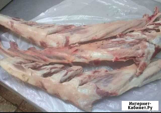 Кости говяжьи для собак Саратов - изображение 1