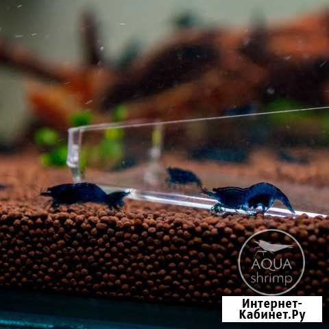 Креветки Набережные Челны - изображение 1