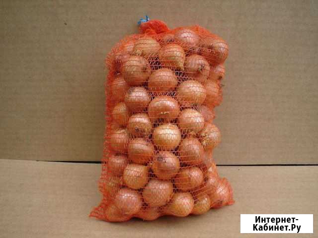 Лук репчатый Великий Новгород - изображение 1