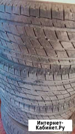 Продам покрышки Заполярный - изображение 1