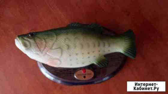 Поющая Рыба Киров