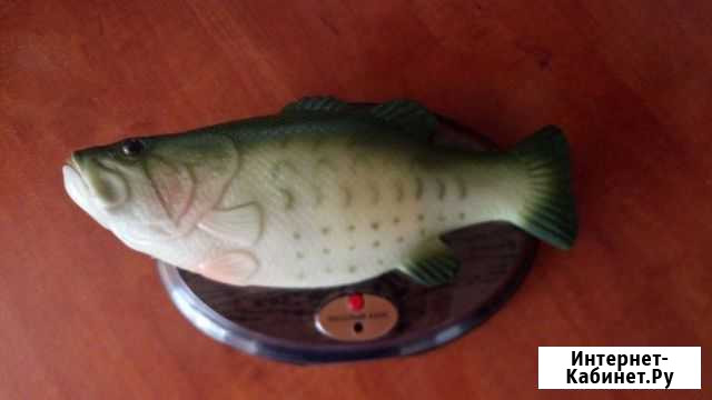 Поющая Рыба Киров - изображение 1