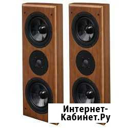 Настенная акустика Vienna Acoustics Waltz Grand ch Новосибирск - изображение 1