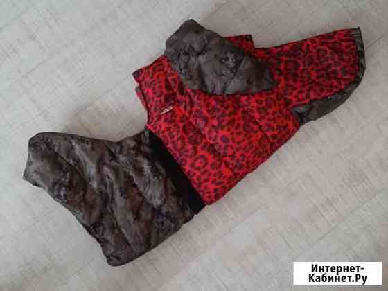 Комбинезон зимний для собаки Чита