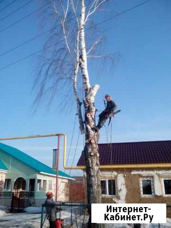 Удаление аварийных деревьев Тамбов - изображение 1