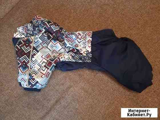 Одежда для собак Новокузнецк