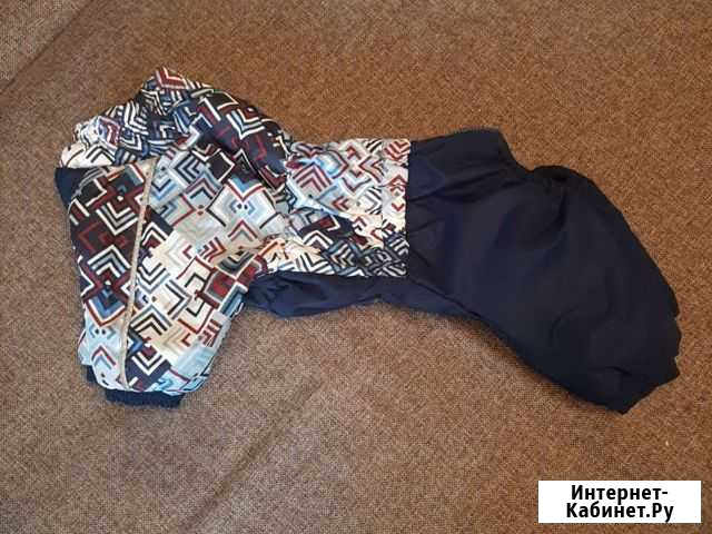 Одежда для собак Новокузнецк - изображение 1