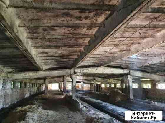 Ферма Курск