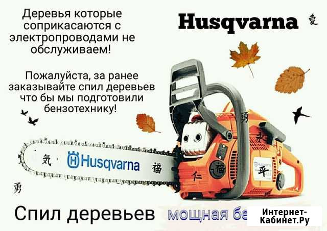 Бензопила спил деревьев примус + прокат Анапа - изображение 1
