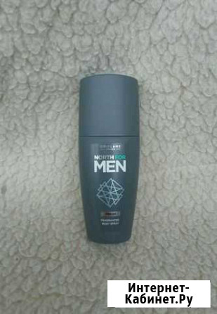 Парфюмированный спрей для тела, мужской. 100мл Тверь - изображение 1