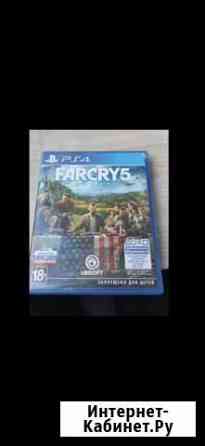 Far cry 5 Калуга