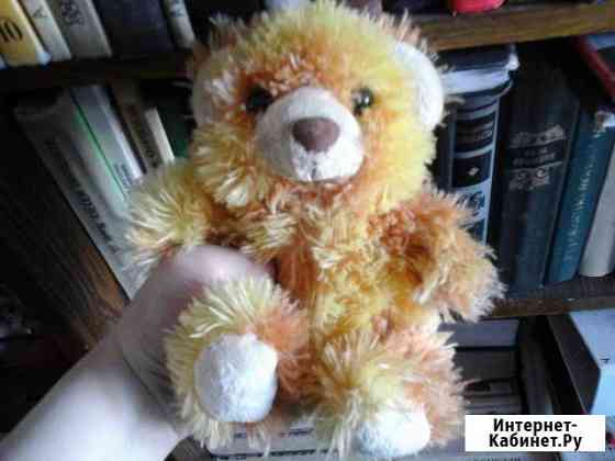 Медвежонок Петрозаводск