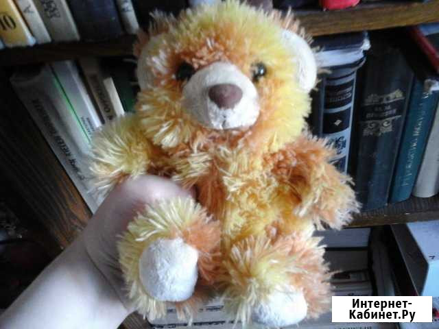 Медвежонок Петрозаводск - изображение 1