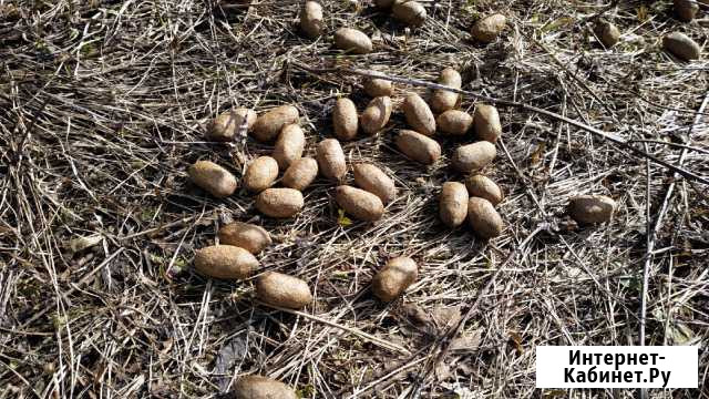 Навоз лосиный Ижевск - изображение 1