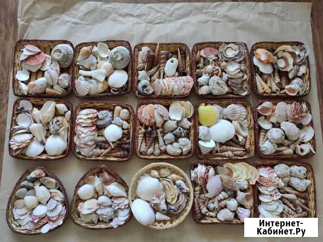 Ракушки в корзинке Тюмень - изображение 1