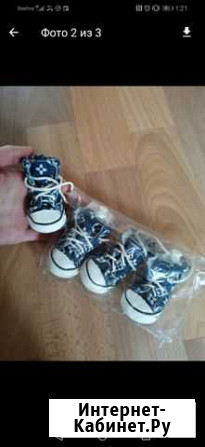 Кеды для собаки Саратов - изображение 1