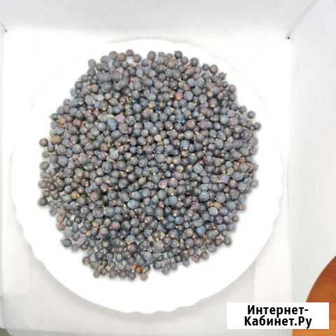 Можжевеловые ягоды Брянск - изображение 1