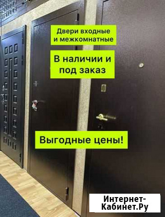 Дверь входная Мосрентген - изображение 1