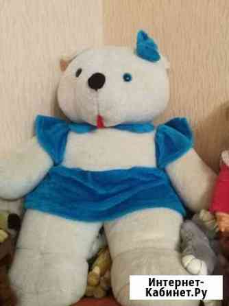 Продам медведя мягкого Кострома