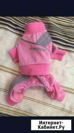 Костюм для животных Саратов