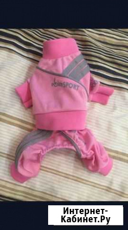 Костюм для животных Саратов - изображение 1