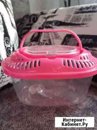 Переноска для черепашки Набережные Челны