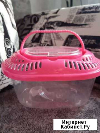 Переноска для черепашки Набережные Челны - изображение 1