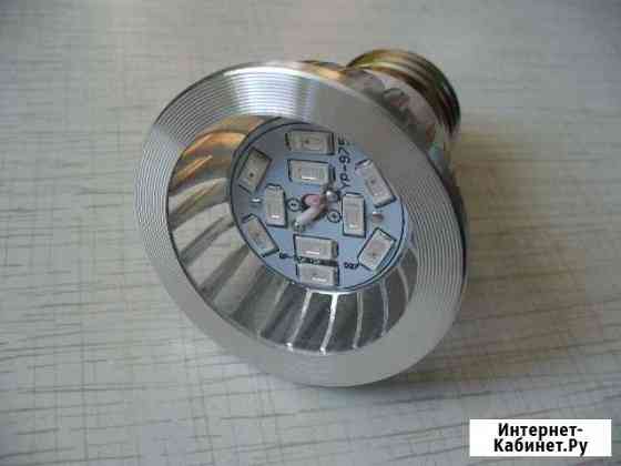 Фитолампа для рассады и растений 10 светодиодов Иркутск