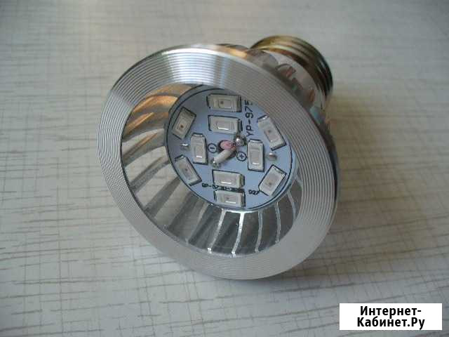 Фитолампа для рассады и растений 10 светодиодов Иркутск - изображение 1