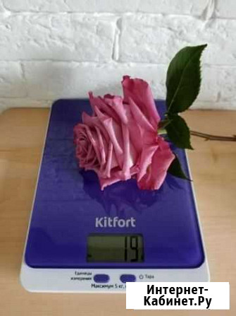 Новые электронные весы кухонные Kitfort Бердск - изображение 1