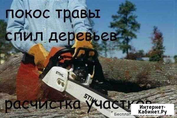 Покос травы и спил деревьев Приморка - изображение 1