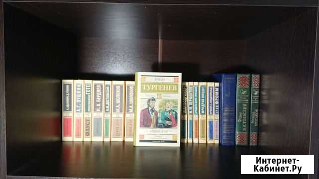 Отцы и дети. Иван Тургенев Ставрополь - изображение 1