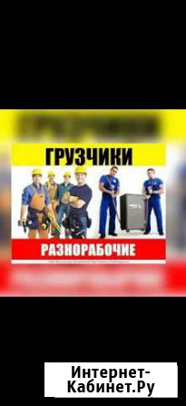 Не грузи сам, позвони нам выезд В район И дв регио Биробиджан - изображение 1