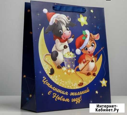 Ламинированный пакет Саратов - изображение 1