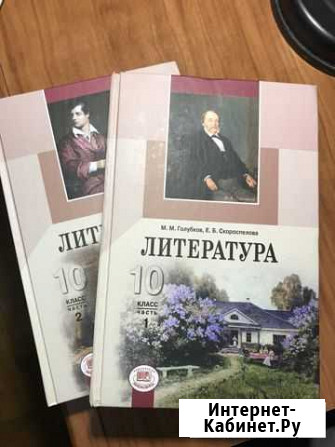 Учебник по литературе 10 класс Мичуринск - изображение 1
