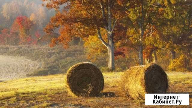 Сено Льгов - изображение 1