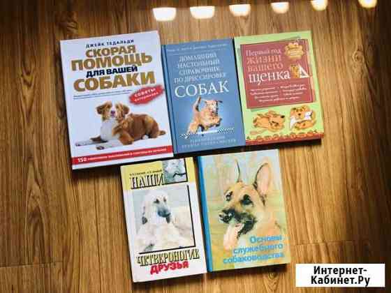 Содержание и дрессировка собак Смоленск