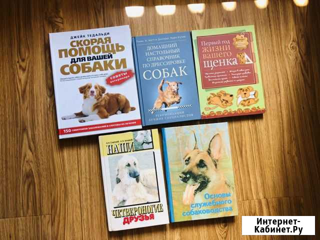 Содержание и дрессировка собак Смоленск - изображение 1