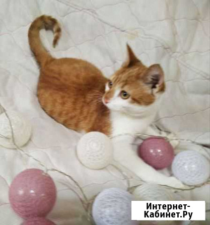 Скучно не будет Барнаул - изображение 1