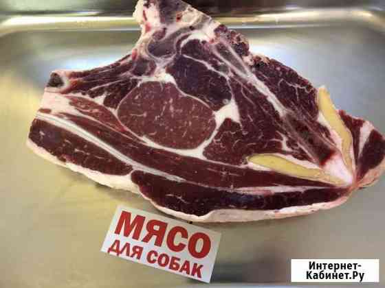 Говядина на кости / мясо для собак Александров