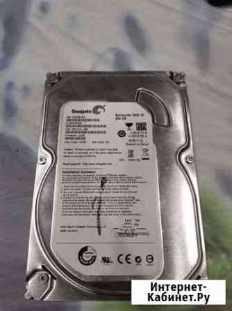 Жесткий диск Seagate 3.5 250GB Екатеринбург