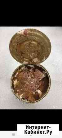 Тушенка из лосятины Мурманск