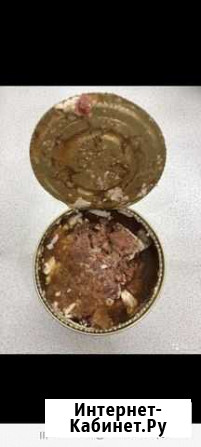 Тушенка из лосятины Мурманск - изображение 1