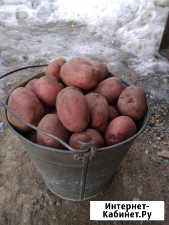 Продам свое Железногорск - изображение 1