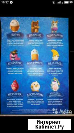 Морозяки Санкт-Петербург - изображение 1